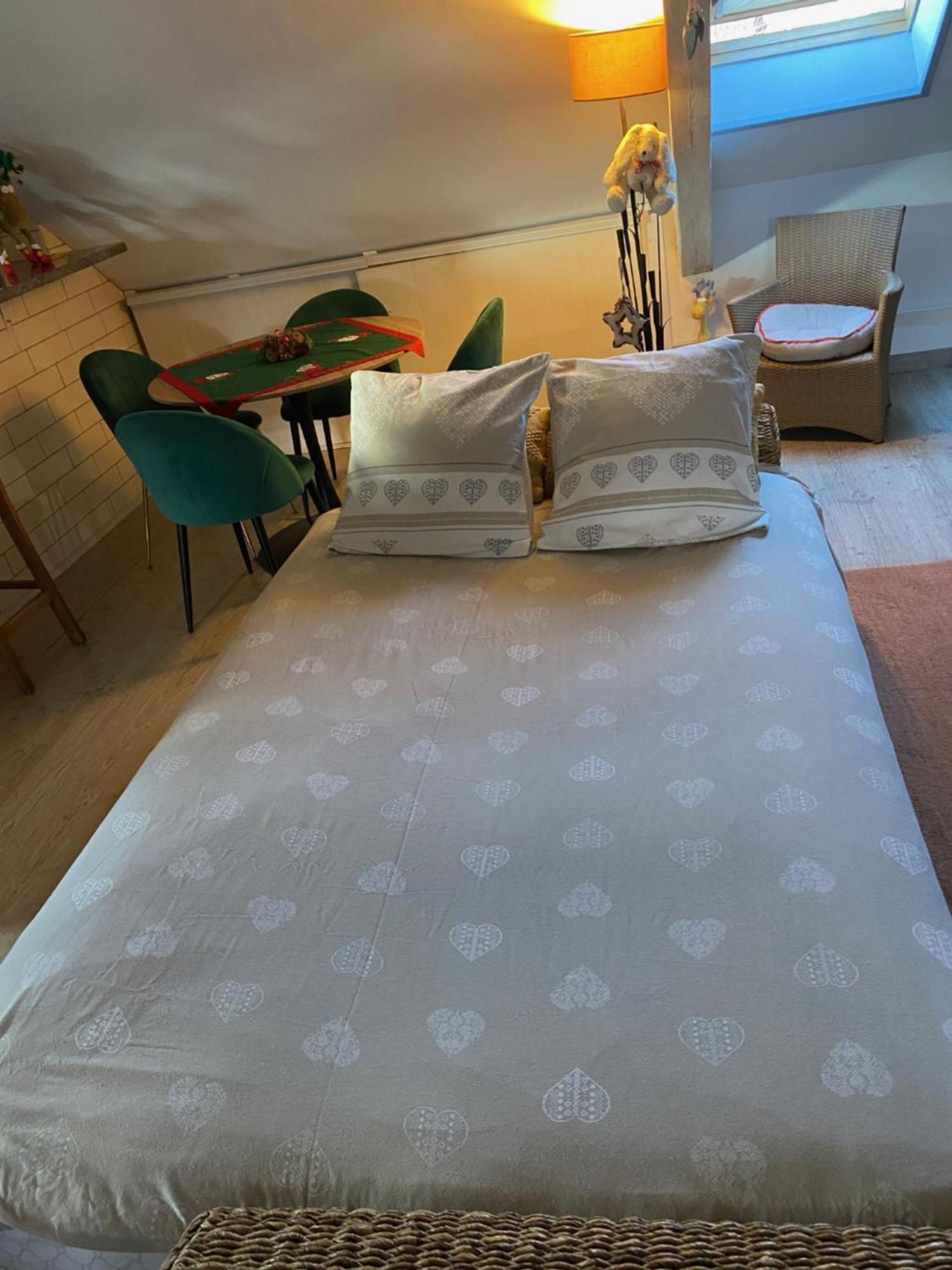 Duplex Spacieux Tout Confort Mulhouse Exterior foto